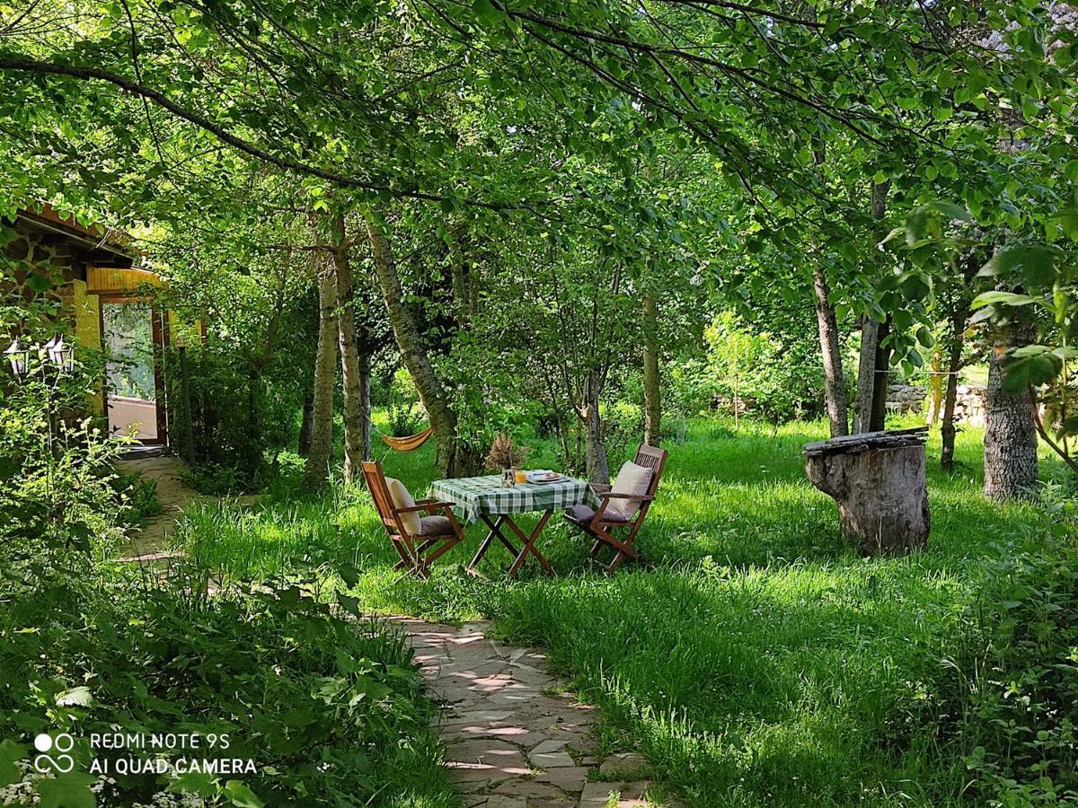 Centro Jardin Mandala Guest House Valberzoso Ngoại thất bức ảnh